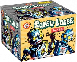 WINDA SCREW LOOSE - CASE  4/1